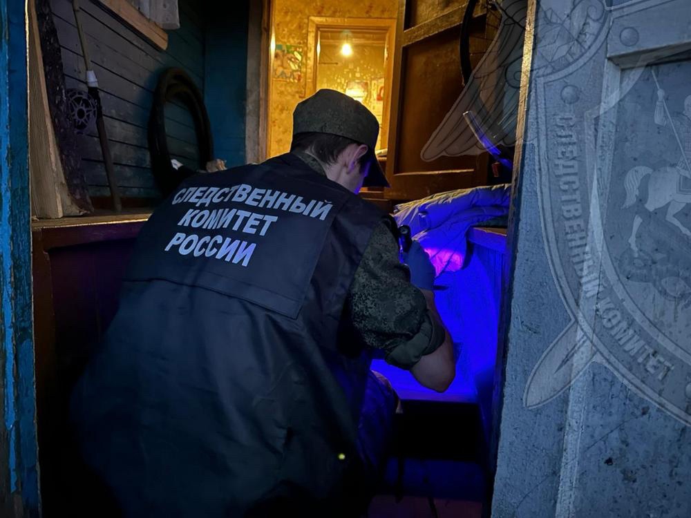  18-летний парень до смерти забил пожилого собутыльника в Костромской области