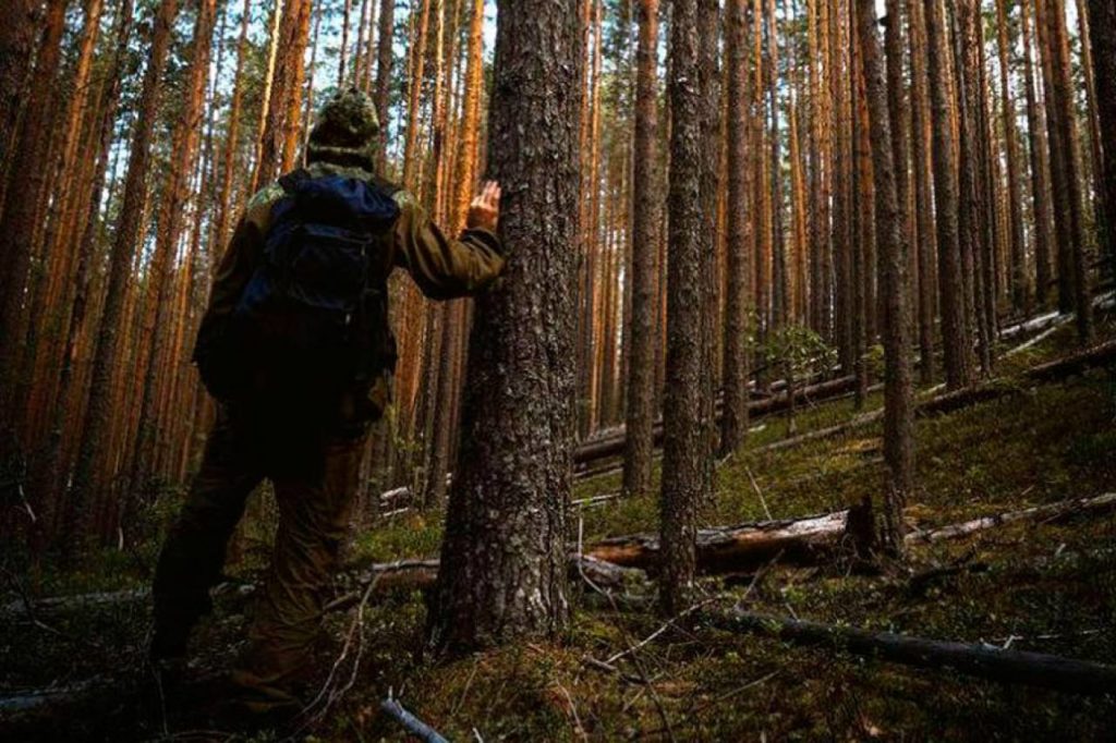 В Судиславских лесах отыскали заблудившуюся женщину (ВИДЕО)