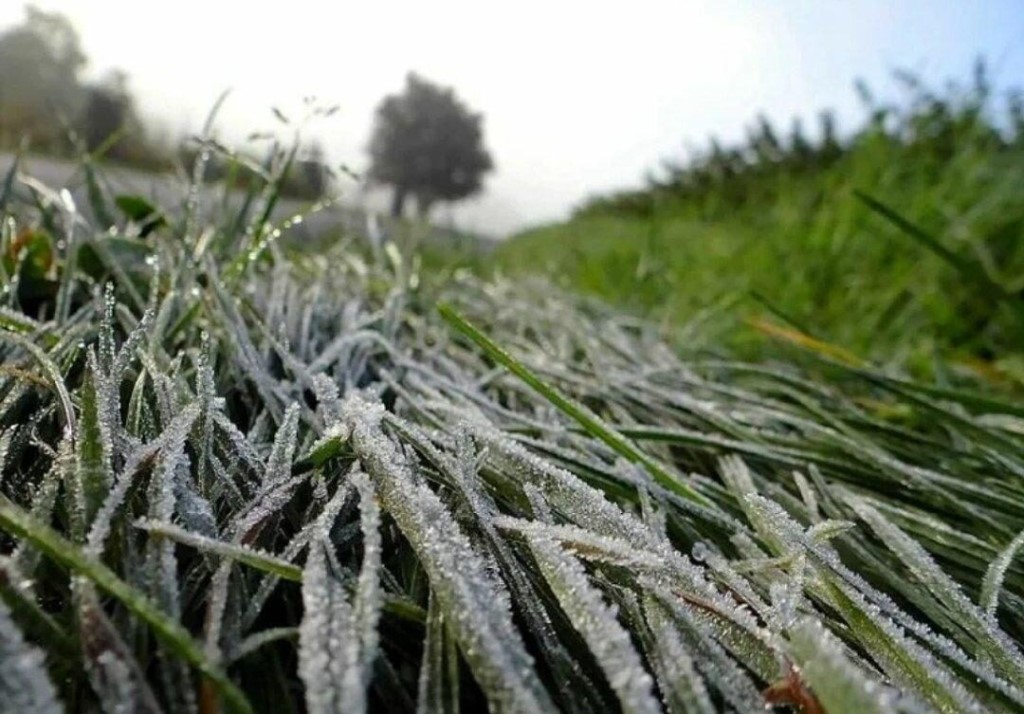 В Костромской области резко похолодает до -1 градуса
