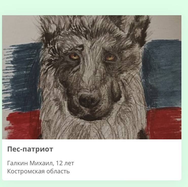 Рисунок юного костромича признан одним из лучших в конкурсе «Портрет фронтовой собаки»