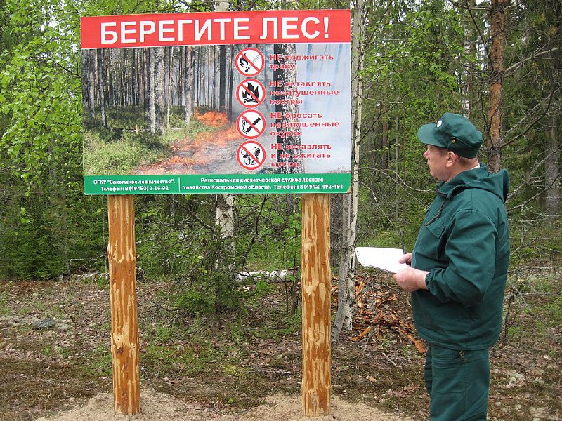 В Костромской области ожидается повышенный класс пожарной опасности