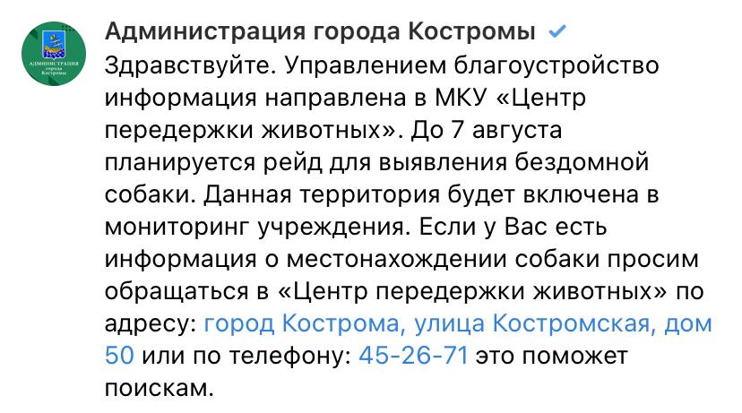 В Костроме обещают поймать агрессивную хаски, которая покусала ребенка в Давыдовском