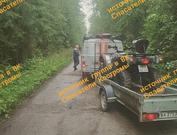 Еще одна женщина затерялась в лесу в Костромской области