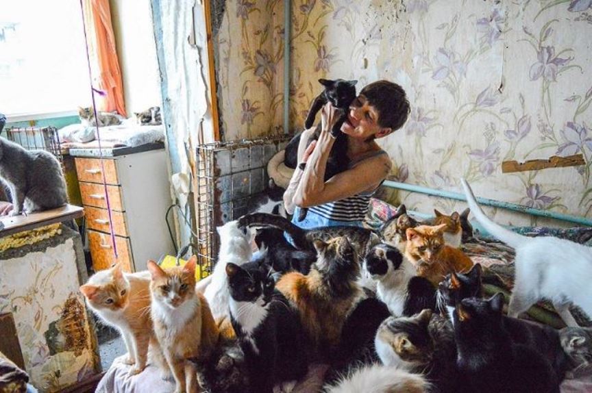 Костромскую многоэтажку терроризирует хозяйка 20 кошек
