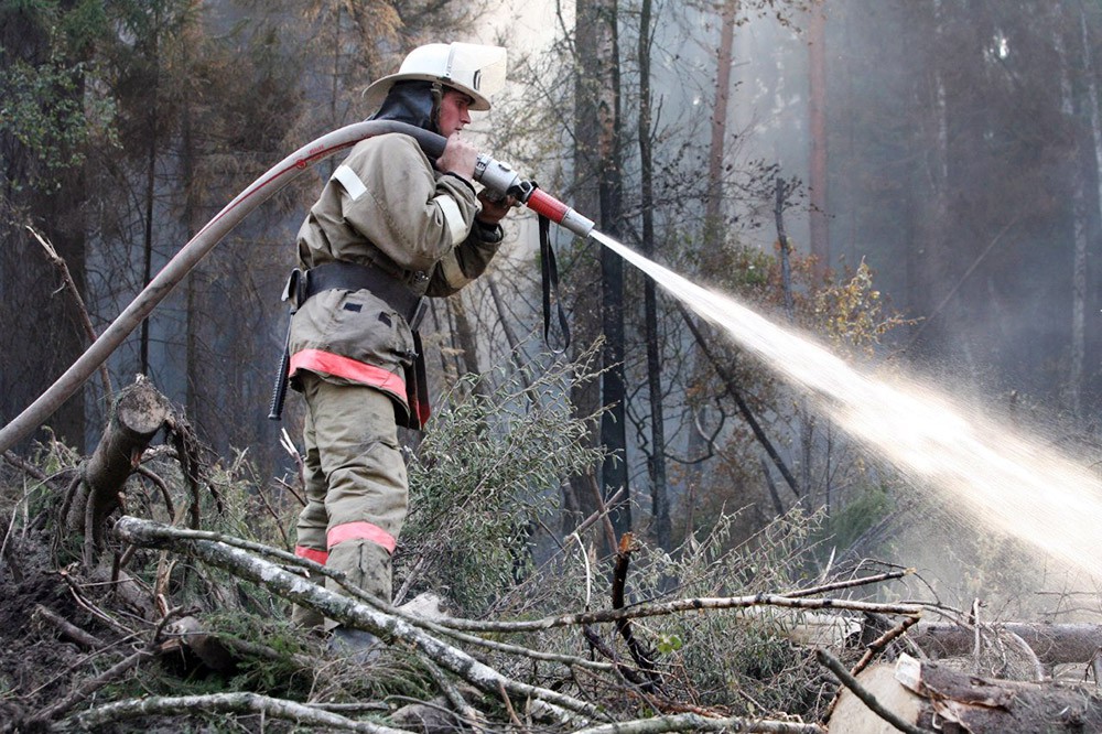 В Костромской области тушат лесной пожар