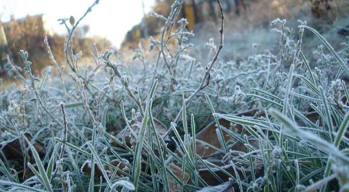 В Костромской области прогнозируют заморозки до – 2 градусов