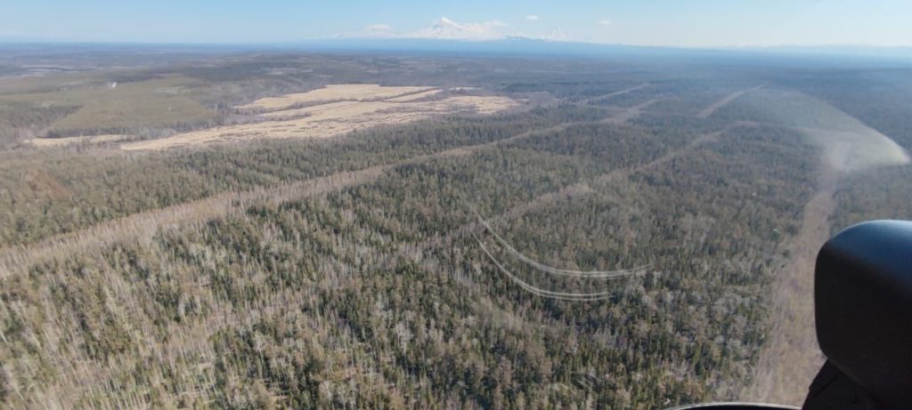 Костромские леса патрулируют с воздуха