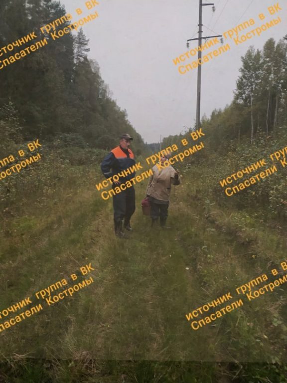 Костромские спасатели нашли заблудившегося грибника по телефону