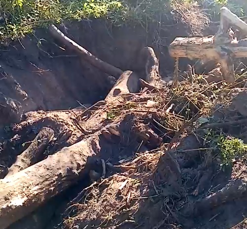В Костроме ушлый застройщик решил не утилизировать мусор, а просто закопать его в землю (ВИДЕО)