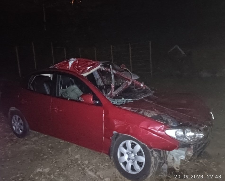 В Костромской области в ДТП с лосем пострадали два человека