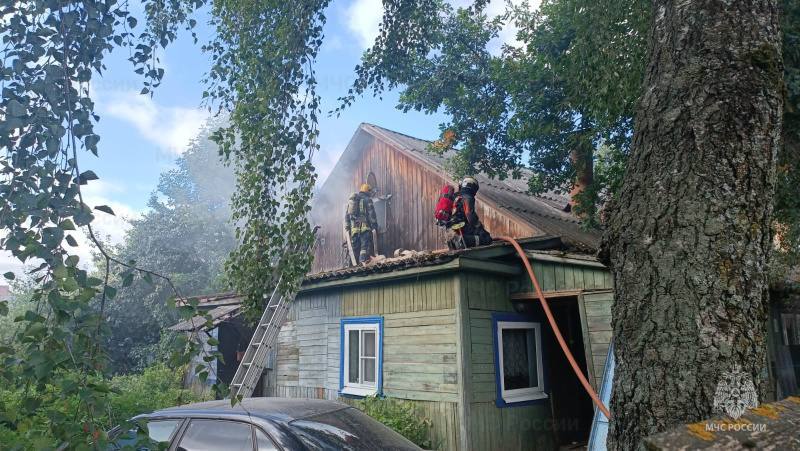 В Костроме во время пожара в частном доме сгорели 5 кошек и собака
