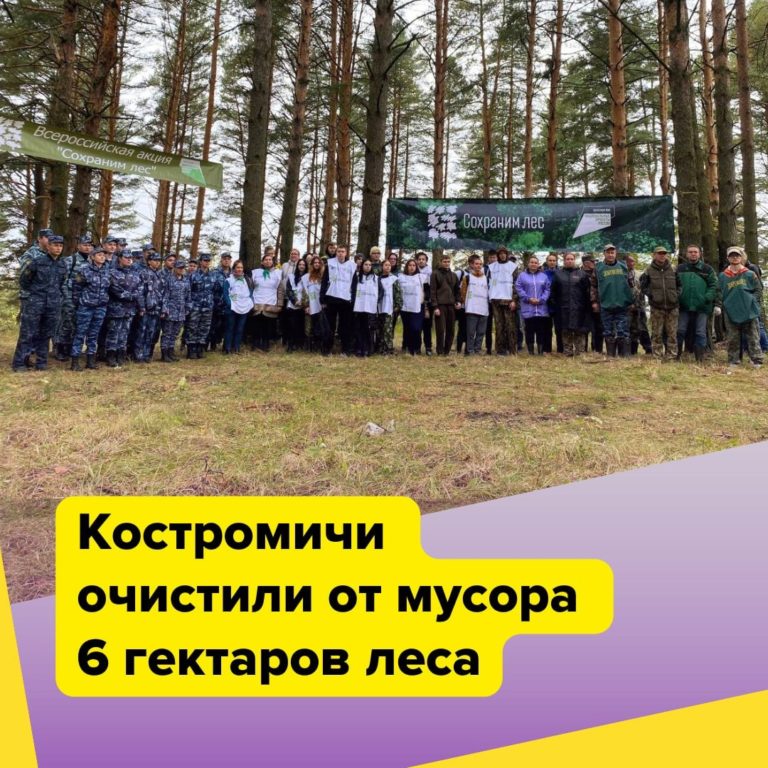Костромские добровольцы очистили около 7 гектаров леса