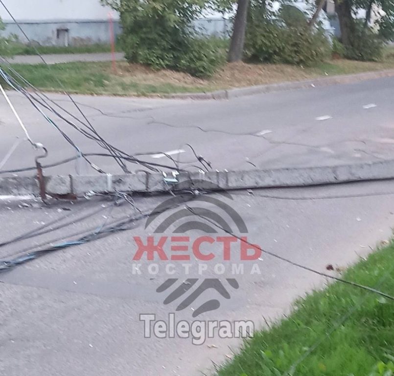 В Костроме упавшее на дорогу дерево разрушило столбы с проводами и перекрыло целую улицу