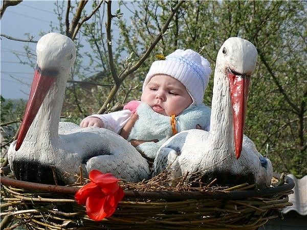 Иваны да Марьи: в костромском ЗАГСе назвали самые популярные в этом году имена новорожденных