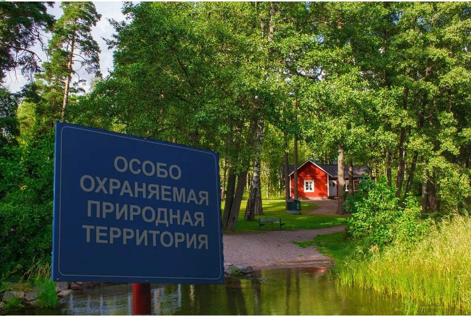 В Костроме спорят, кто будет отвечать за особо охраняемые природные территории