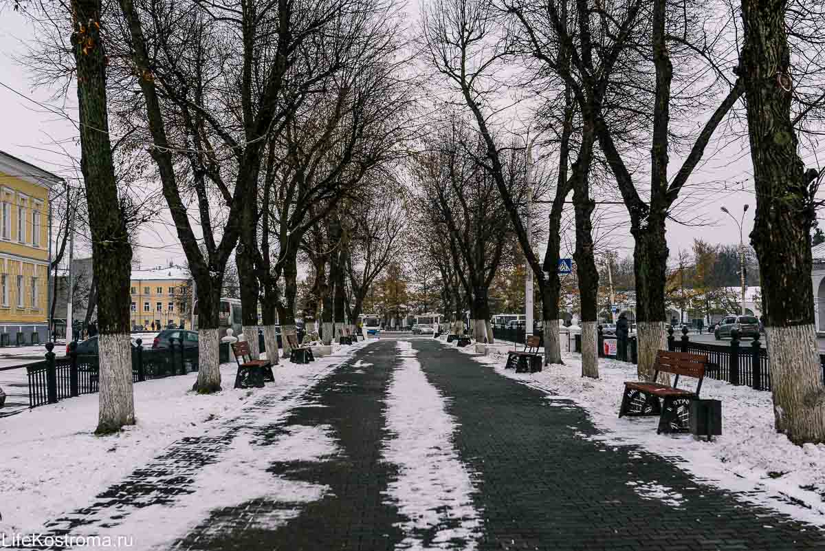 Прогноз погоды на неделю: в Костроме наступает период температурных качелей