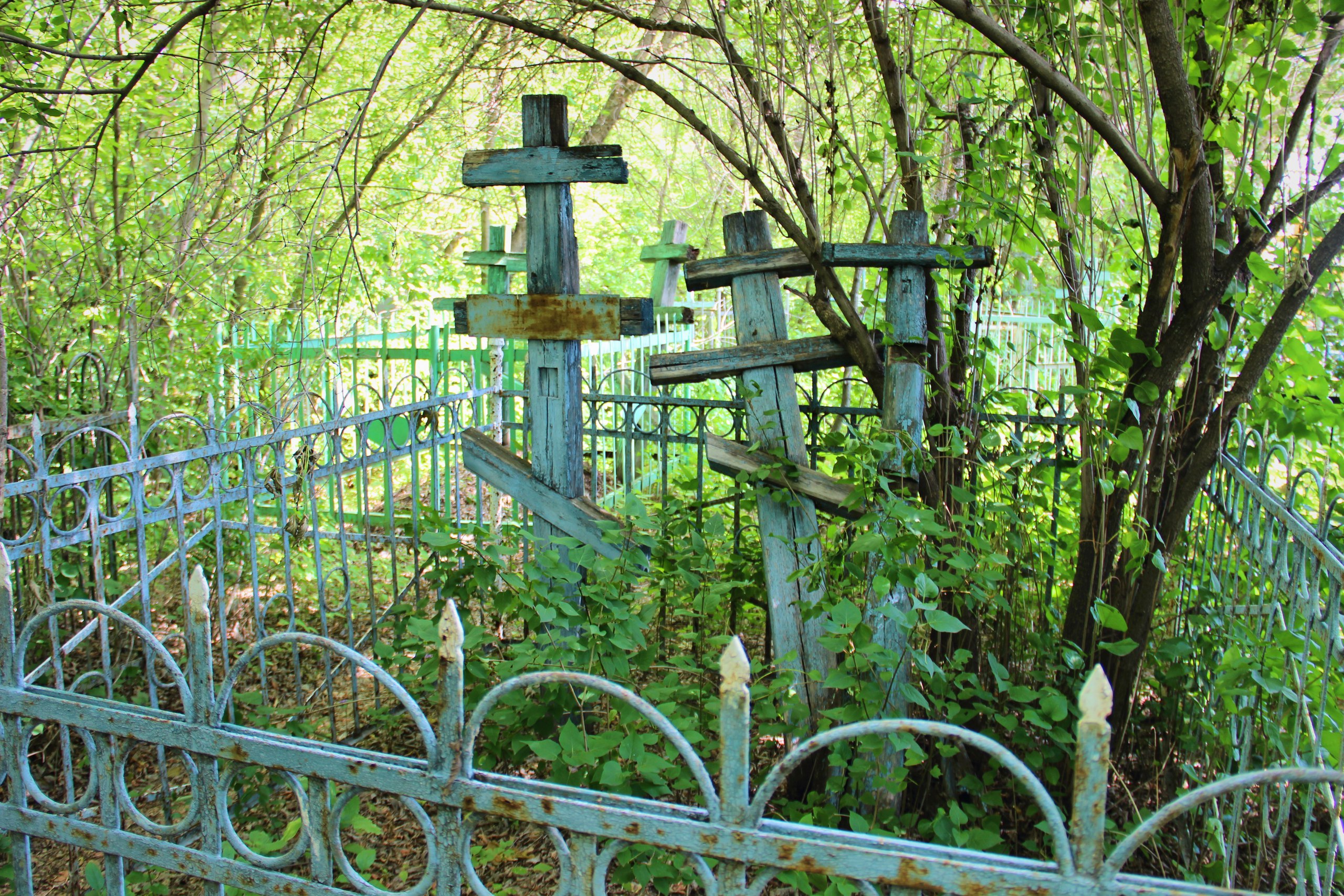 Костромичи несколько лет не могут попасть на кладбище