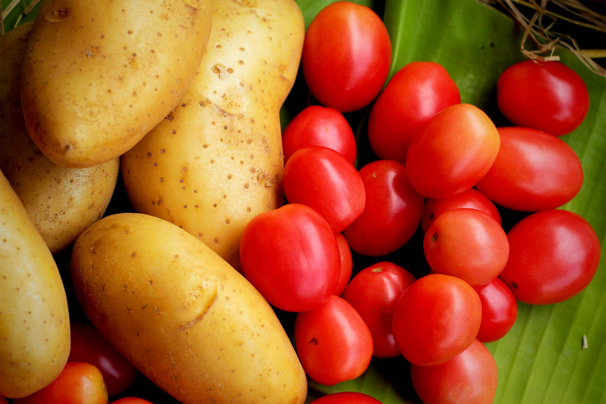 Огурцы, помидоры и картофель стали лидерами недельного подорожания в Костроме