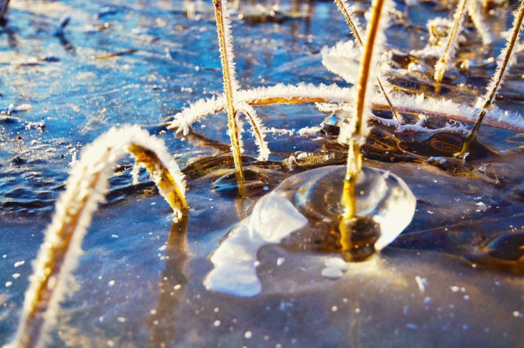 Костромские водоемы сковало ненадежным льдом