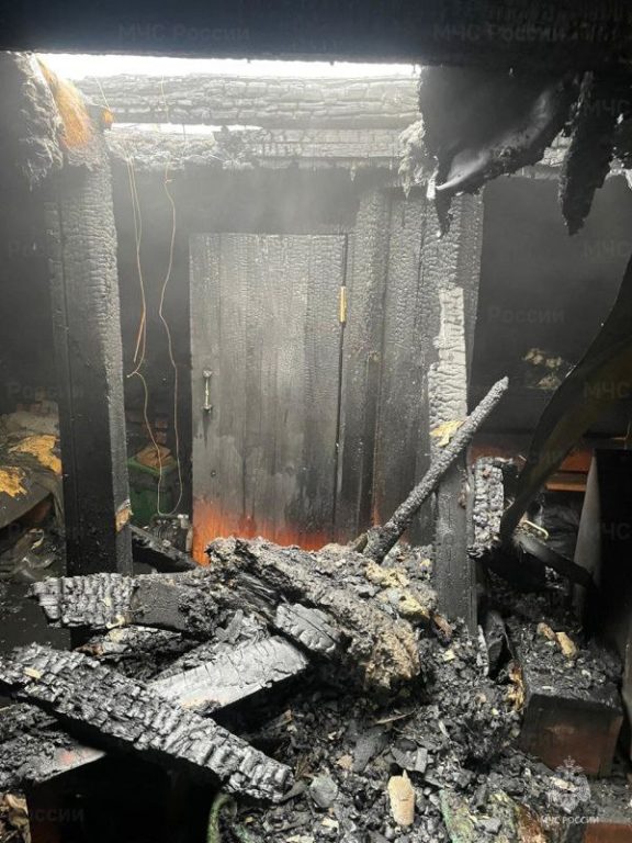В Костроме пожарные спасли поросят из горящей бани