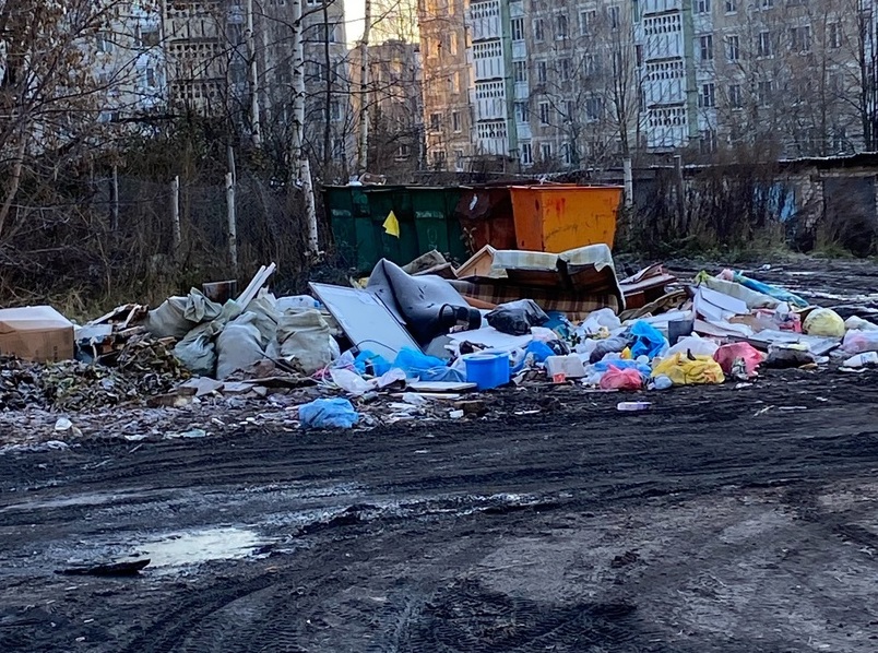 Ювелирная «столица» Костромской области тонет в горах мусора