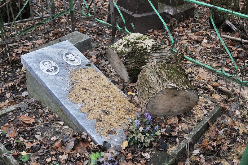 На костромских кладбищах практикуют перезахоронение умерших