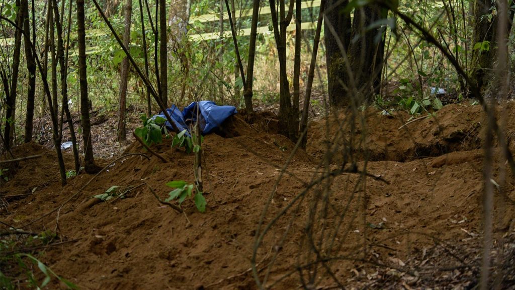 Зарезал и вывез в лес: пенсионера будут судить за хладнокровное убийство в Костромской области