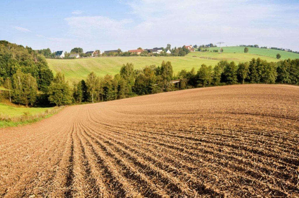 Костромичи могут получить обширные бесплатные земли для фермерства