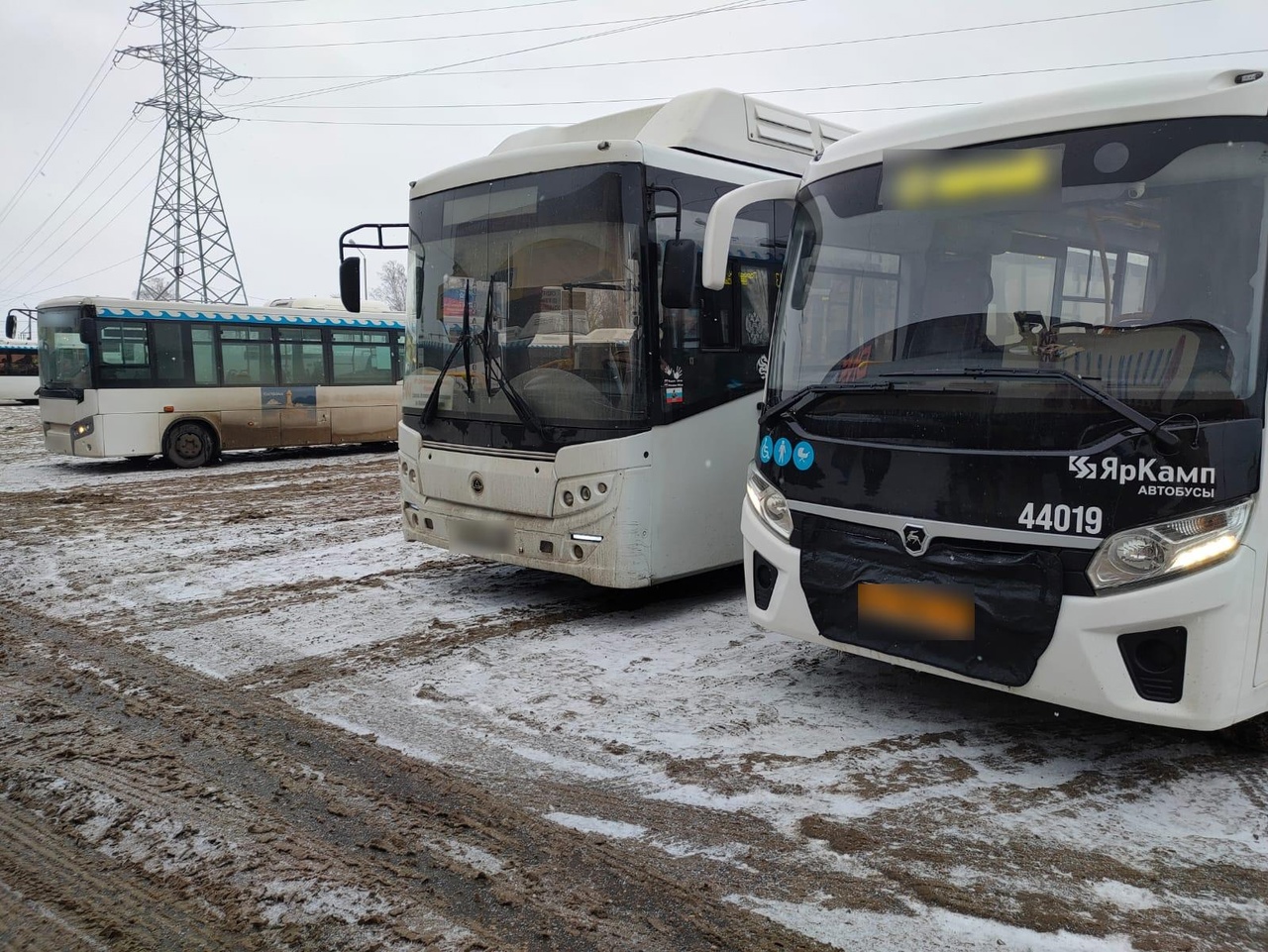 Водители костромских автобусов ездят на красный и болтают по телефону