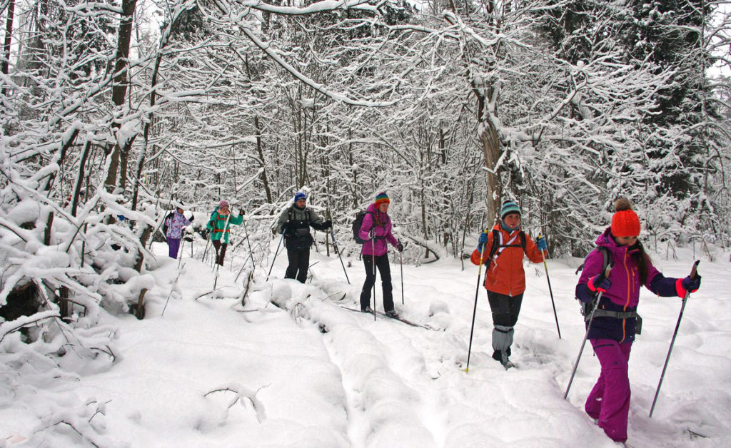 Десятки костромских школьников проведут выходные в зимнем лесу