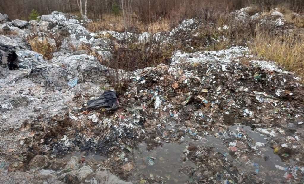 10 лет мусорная свалка отравляет экологию в поселке Костромской области