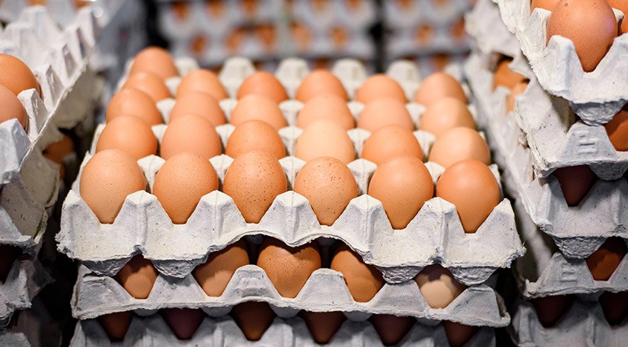 Дождались: в Костромской области дешевеют яйца