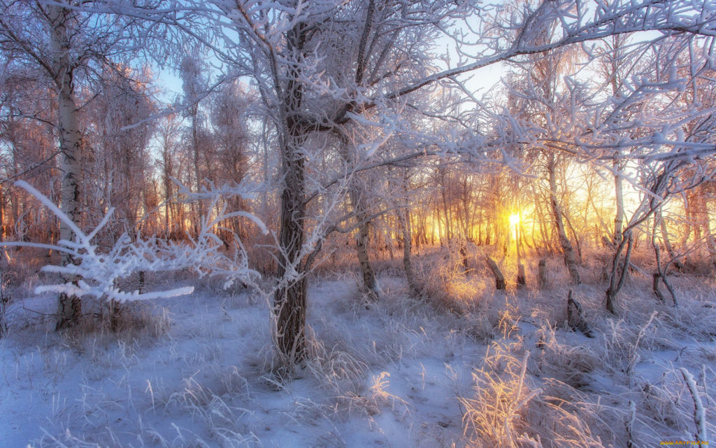 Костромскую область накроют еще более сильные морозы