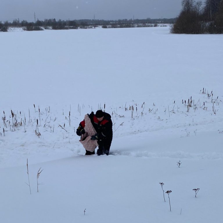 Костромские спасатели вызволили собаку из снежного плена (ФОТО)