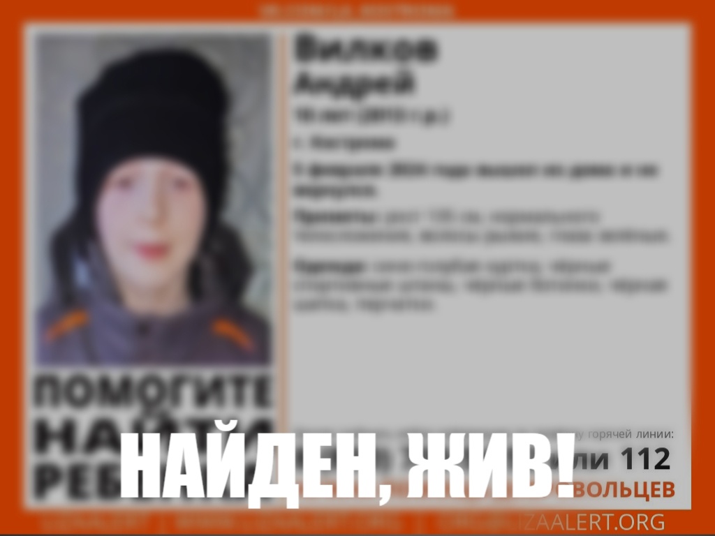 Пропавшего в Костроме 10-летнего мальчика нашли