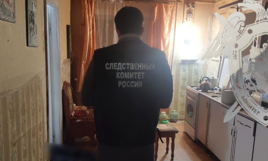 Ударил ножом: пенсионера подозревают в хладнокровном убийстве сына в Костромской области