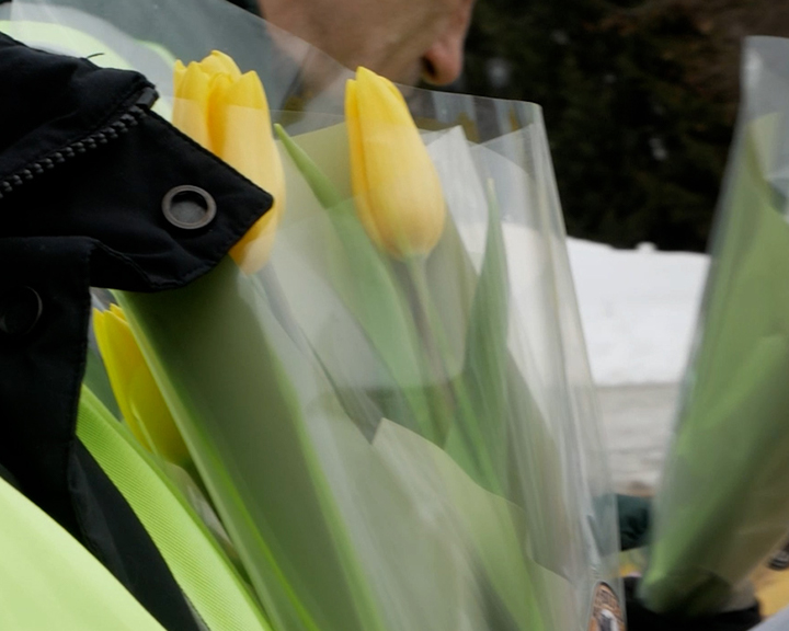 Вместо проверки документов — букет тюльпанов: сотрудники костромского ГИБДД зарядили девушек праздничным настроением