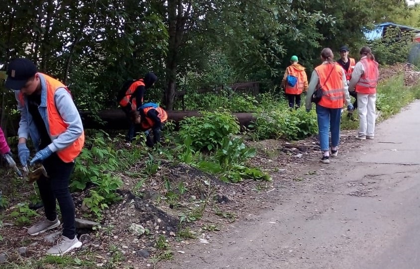 В центре Костромы школьники начали убирать мусор за деньги