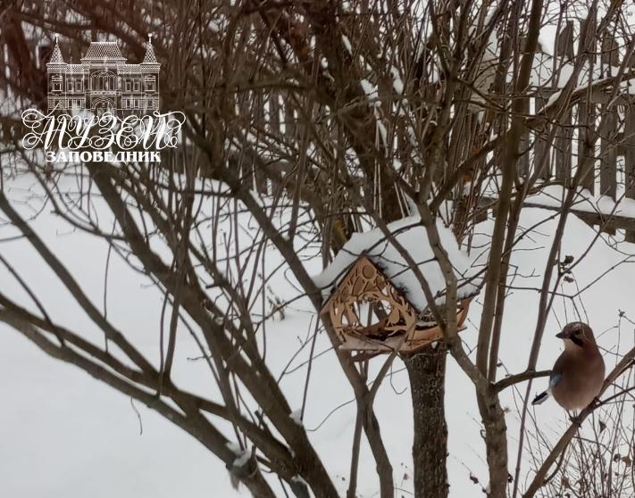 Костромские школьники с помощью кормушек приманили краснокнижных птиц