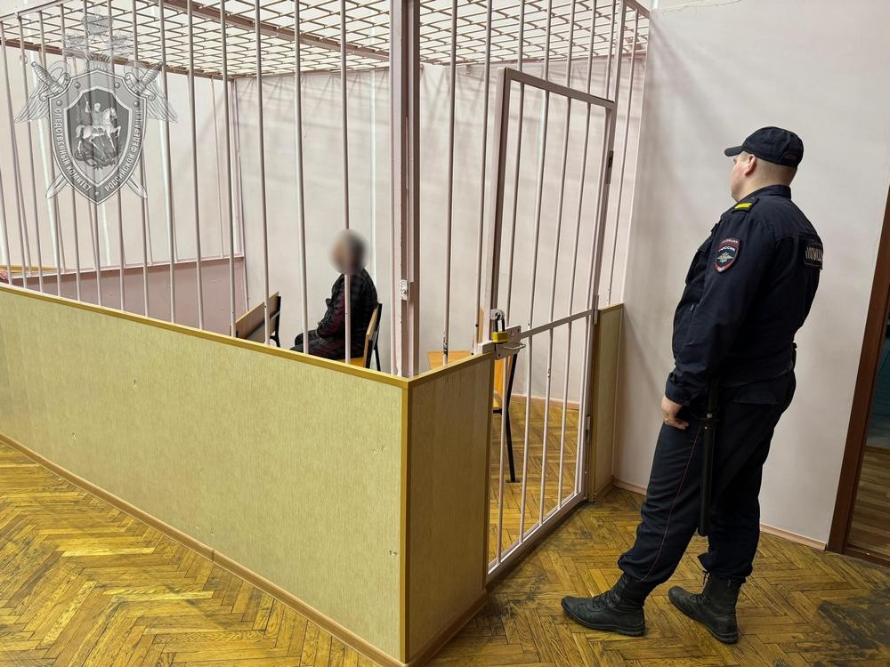 Подозреваемого в домогательствах к 11-летней девочке заключили под стражу в Костроме