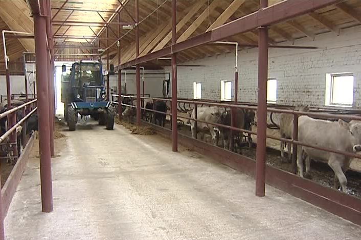 Костромские сельхозпроизводители могут получить субсидии на улучшение АПК  