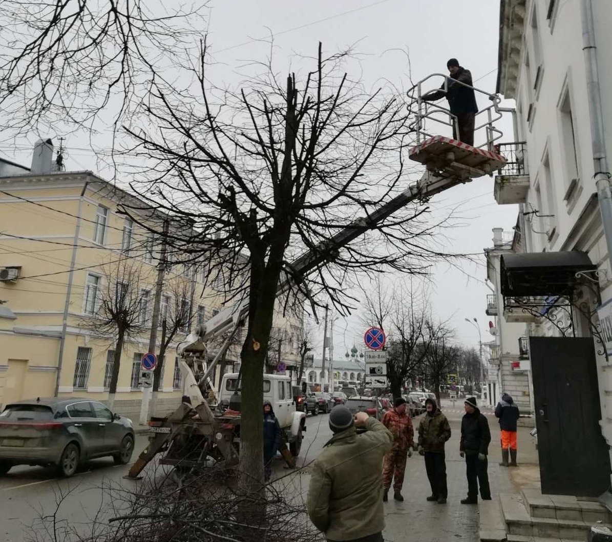У монумента Славы и памятника Сусанину в Костроме приведут в порядок деревья и кустарники