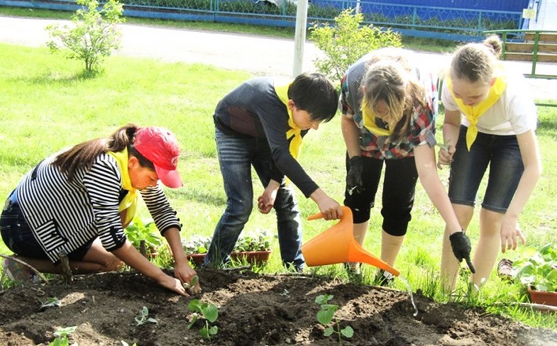 В школах Костромской области будут вербовать будущих агрономов