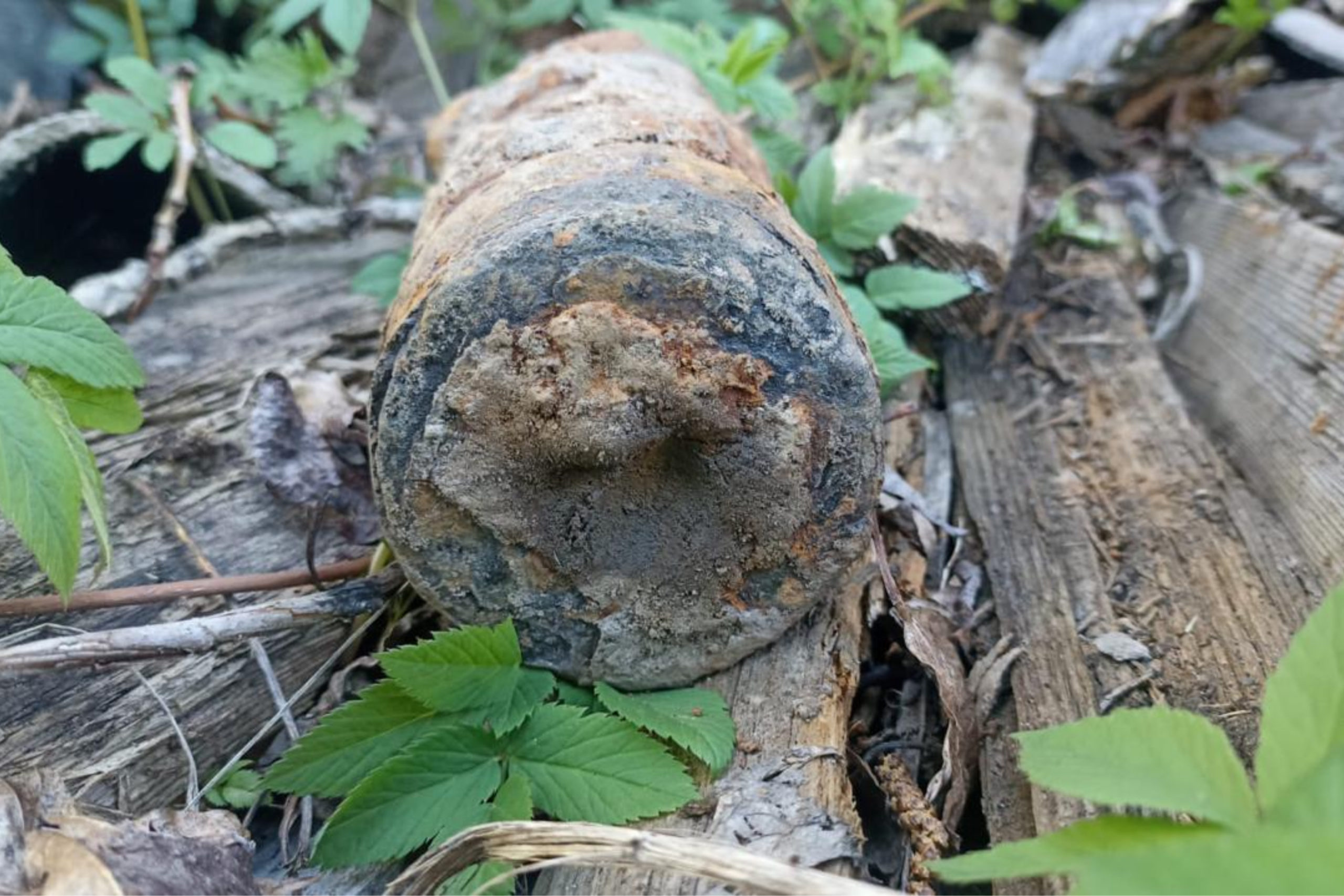 Рядом с жилыми домами в Костромской области нашли неразорвавшийся снаряд