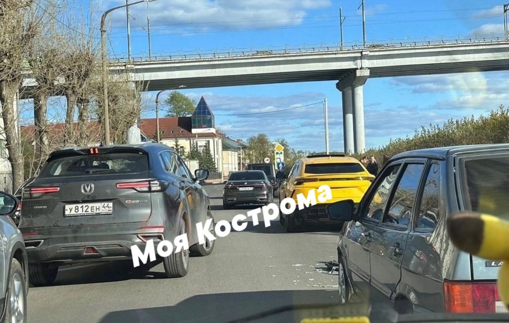 Костромичка заплатит 100 000 рублей за свою агрессивную хаски