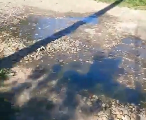 Костромское село несколько месяцев топит канализацией (ВИДЕО)