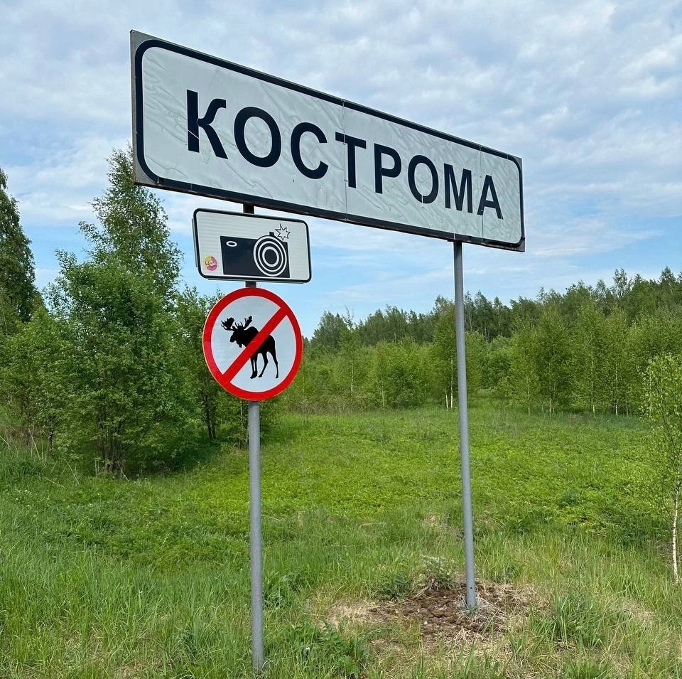 Костромичи придумали новый дорожный знак «Стоп, лоси!»