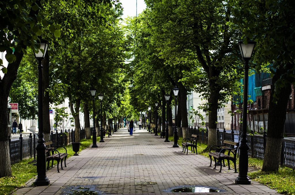 В Костроме обещают закупать для городских скамеек более качественную краску
