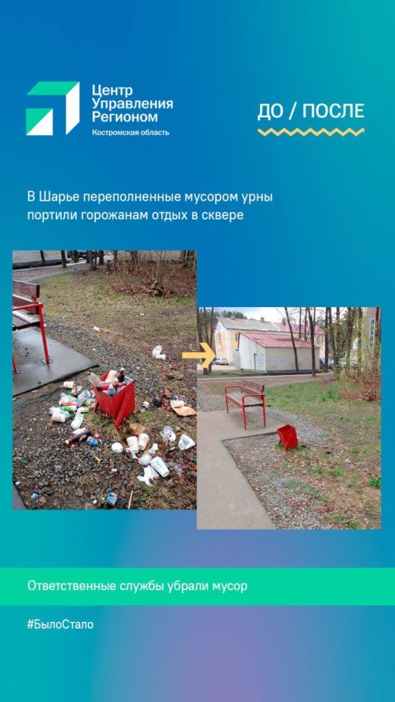 Бороться с мусором костромичам помогает интернет
