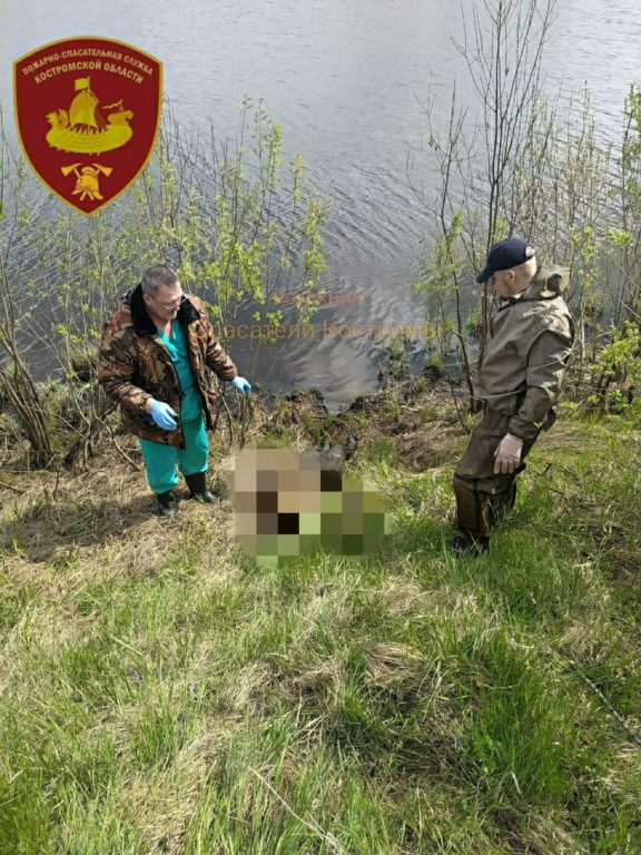 Под Костромой в реке найдено тело неизвестного мужчины